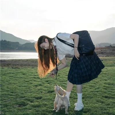 与狼共谋